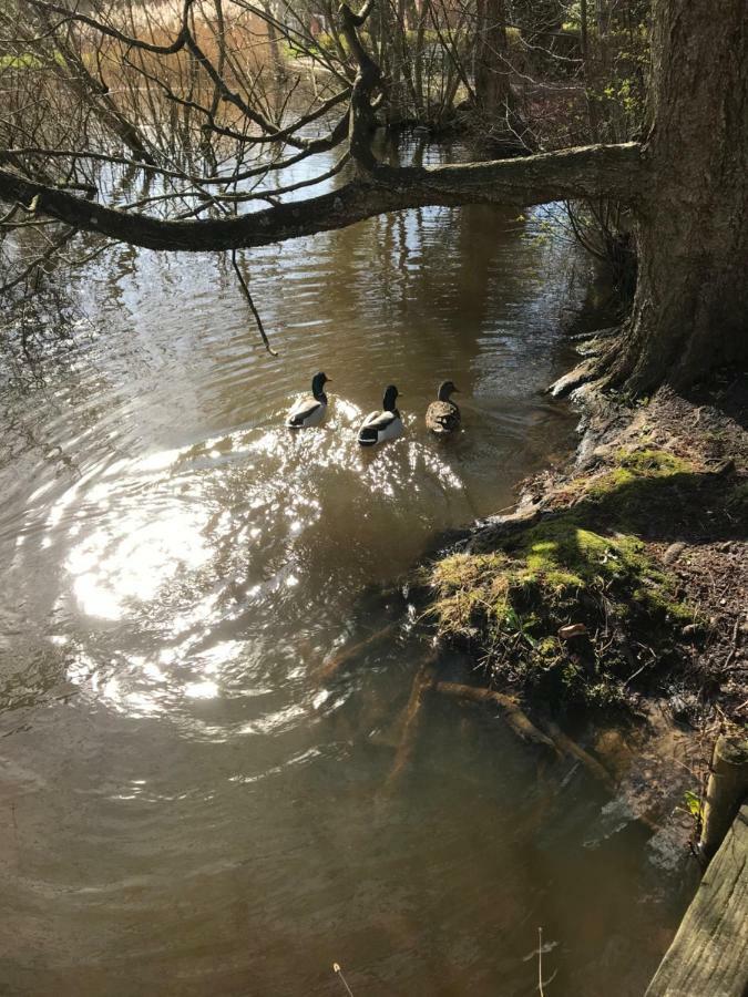 Apartmán Spikergade 6 Tønder Exteriér fotografie